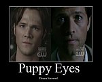 Sub  Puppy Eyes by Misha Collins Club