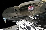 Anadolu Kartal�-Hak ve E�itlik